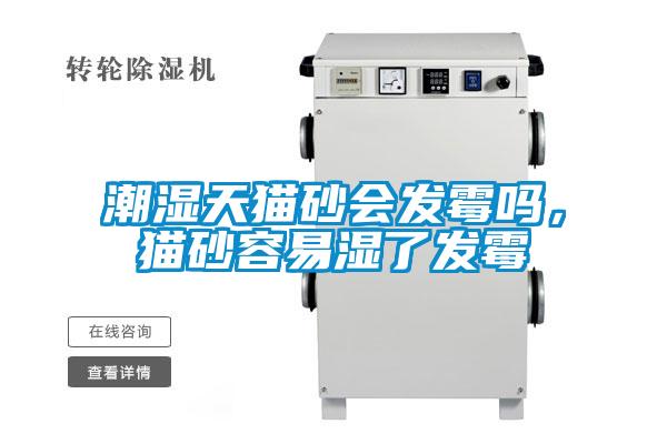 潮濕天貓砂會發霉嗎，貓砂容易濕了發霉