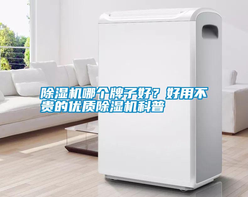 除濕機哪個牌子好？好用不貴的優質除濕機科普