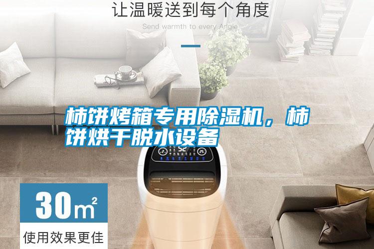 柿餅烤箱專用除濕機，柿餅烘干脫水設備