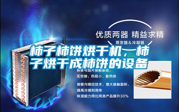 柿子柿餅烘干機，柿子烘干成柿餅的設備