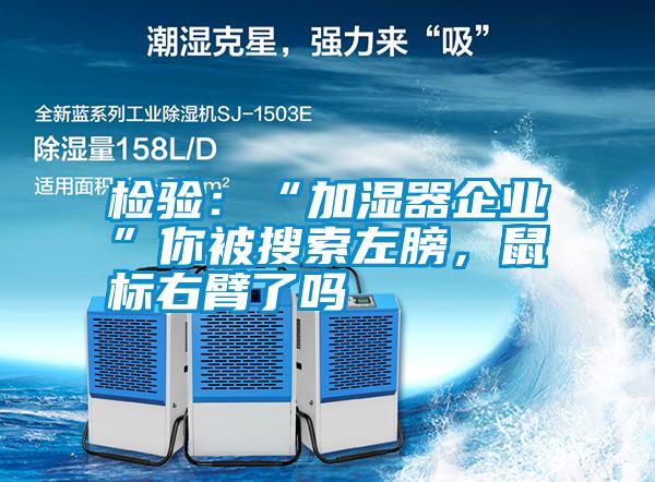 檢驗：“加濕器企業”你被搜索左膀，鼠標右臂了嗎
