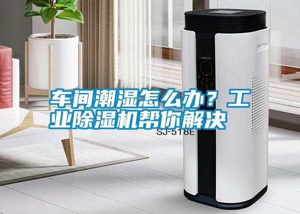 車間潮濕怎么辦？工業除濕機幫你解決