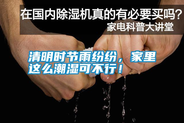 清明時節雨紛紛，家里這么潮濕可不行！