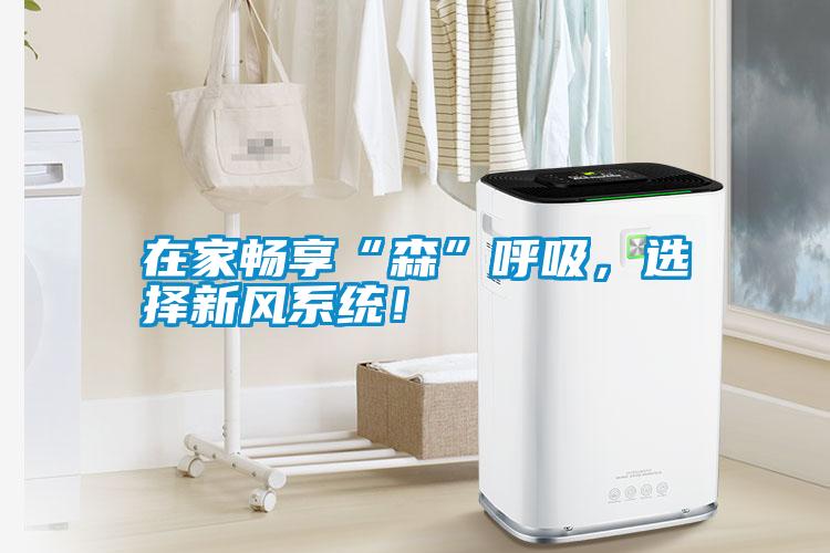 在家暢享“森”呼吸，選擇新風系統！