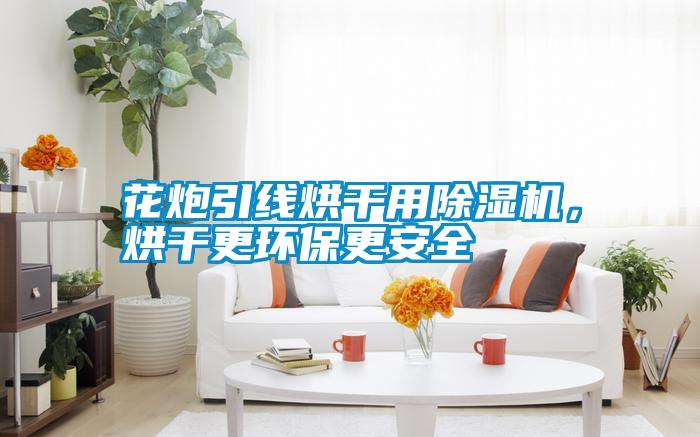 花炮引線烘干用除濕機，烘干更環保更安全