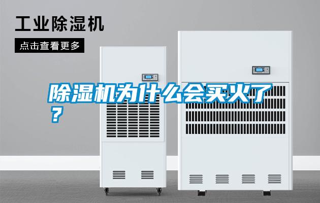 除濕機為什么會買火了？