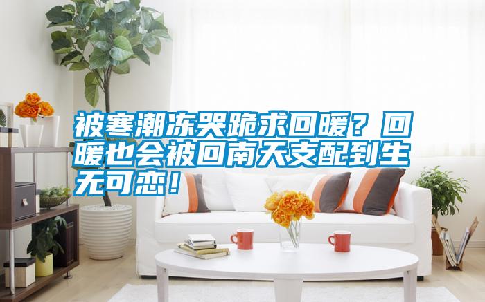 被寒潮凍哭跪求回暖？回暖也會被回南天支配到生無可戀！