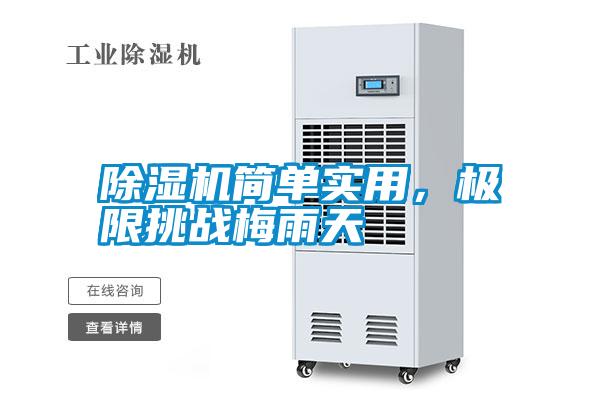 除濕機簡單實用，極限挑戰梅雨天