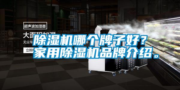除濕機哪個牌子好？家用除濕機品牌介紹。