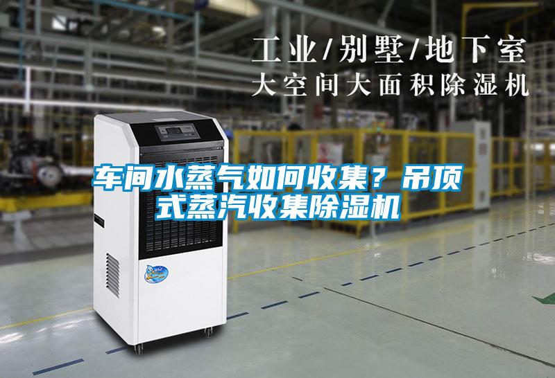 車間水蒸氣如何收集？吊頂式蒸汽收集除濕機