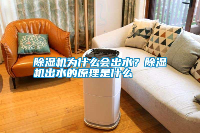 除濕機為什么會出水？除濕機出水的原理是什么