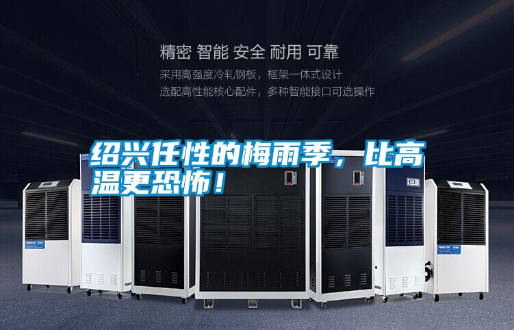 紹興任性的梅雨季，比高溫更恐怖！