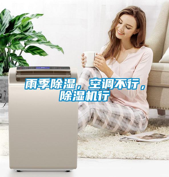 雨季除濕，空調不行，除濕機行