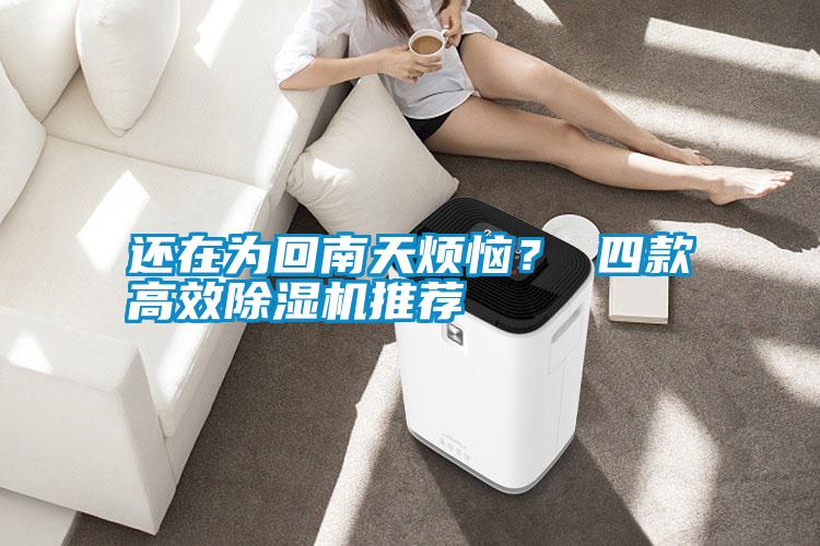還在為回南天煩惱？ 四款高效除濕機推薦