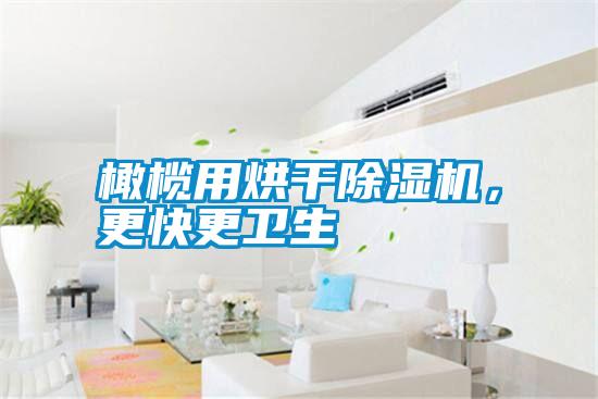 橄欖用烘干除濕機，更快更衛生