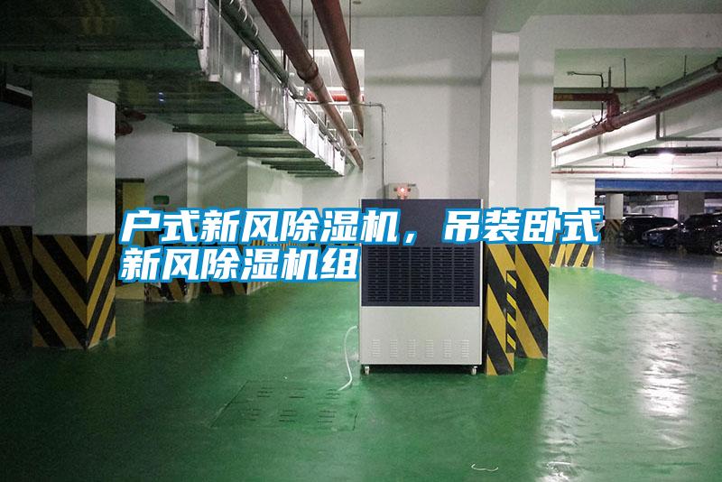 戶式新風除濕機，吊裝臥式新風除濕機組