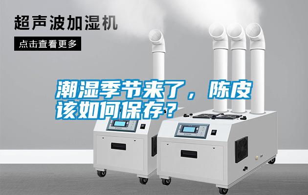 潮濕季節來了，陳皮該如何保存？