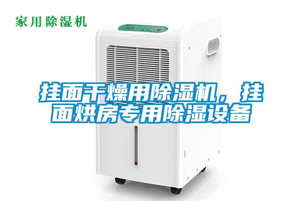 掛面干燥用除濕機，掛面烘房專用除濕設備