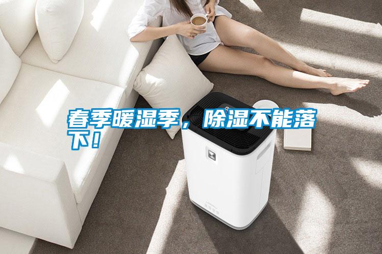 春季暖濕季，除濕不能落下！