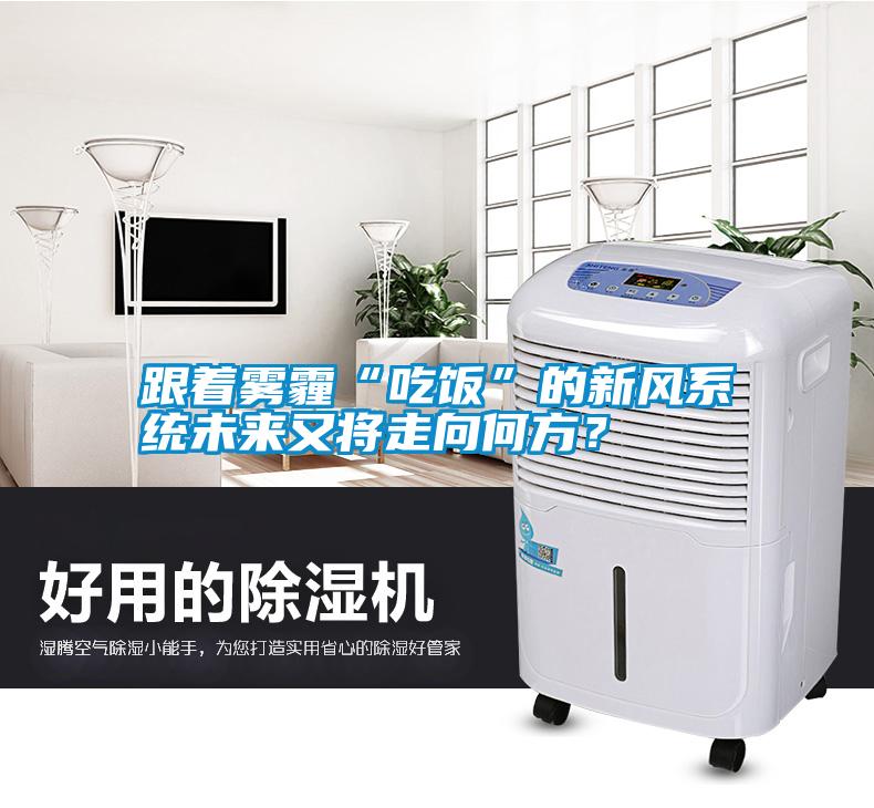 跟著霧霾“吃飯”的新風系統未來又將走向何方？
