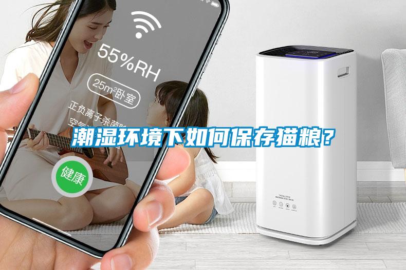 潮濕環境下如何保存貓糧？