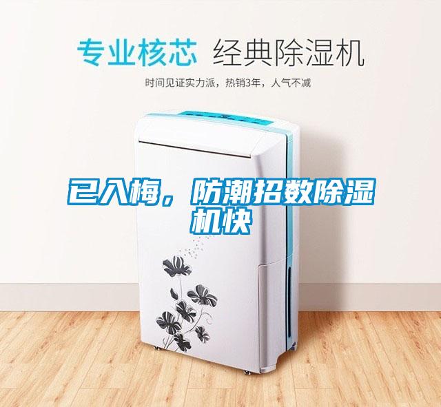 已入梅，防潮招數除濕機快