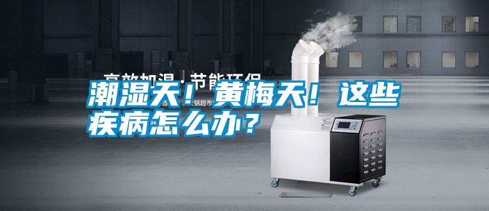 潮濕天！黃梅天！這些疾病怎么辦？