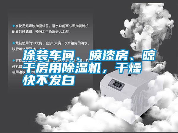 涂裝車間、噴漆房、晾干房用除濕機，干燥快不發白