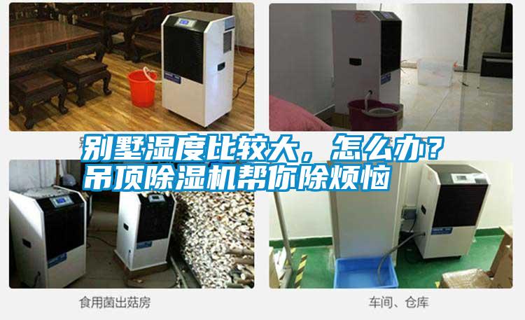 別墅濕度比較大，怎么辦？吊頂除濕機幫你除煩惱