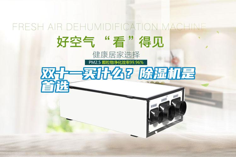 雙十一買什么？除濕機是首選