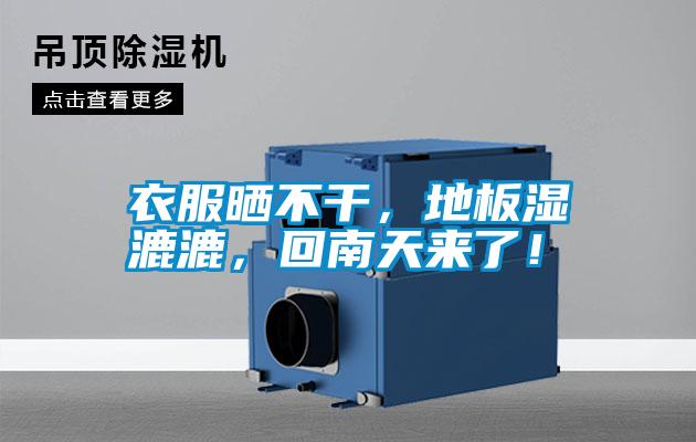 衣服曬不干，地板濕漉漉，回南天來了！
