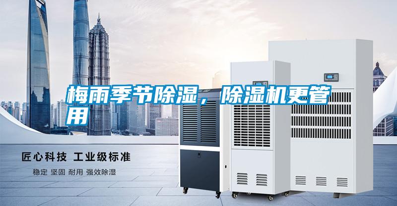 梅雨季節除濕，除濕機更管用