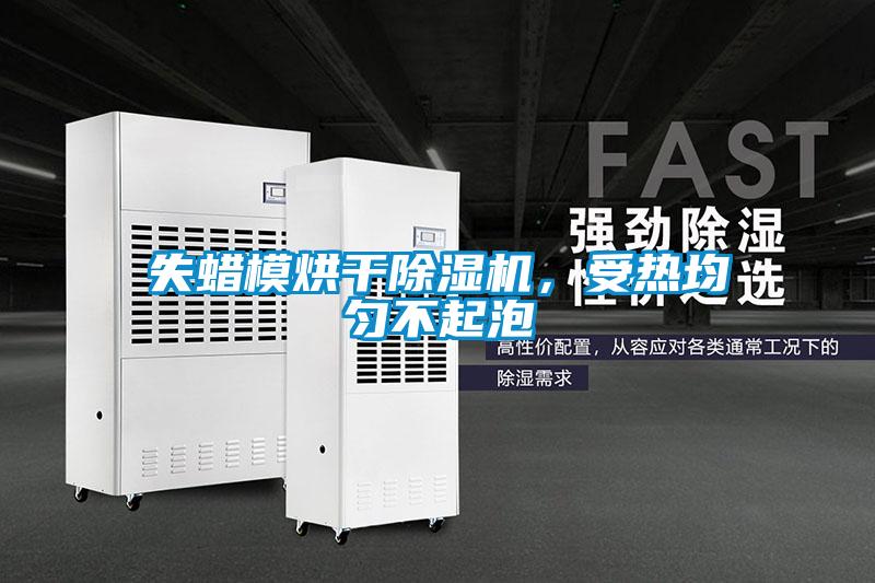 失蠟模烘干除濕機，受熱均勻不起泡
