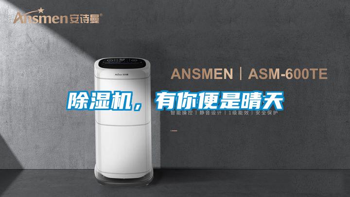 除濕機，有你便是晴天
