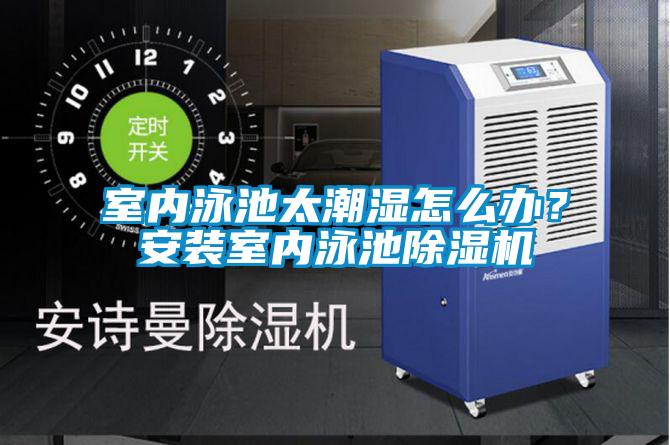 室內泳池太潮濕怎么辦？安裝室內泳池除濕機