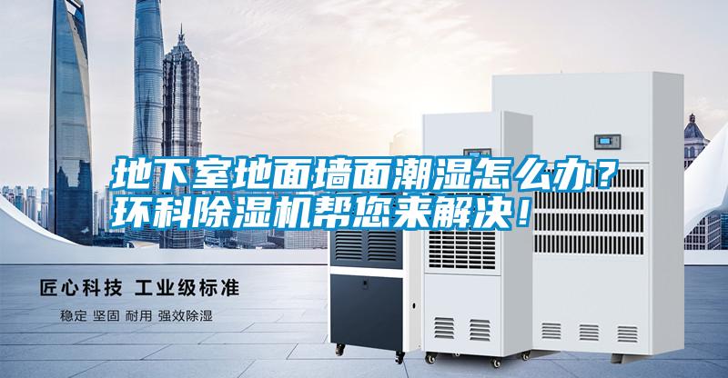地下室地面墻面潮濕怎么辦？環科除濕機幫您來解決！