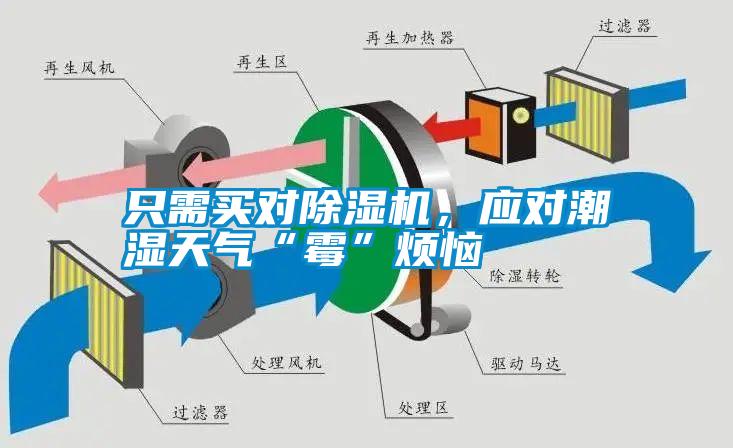 只需買對除濕機，應對潮濕天氣“霉”煩惱