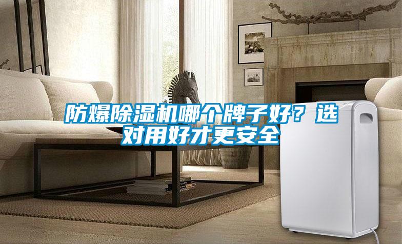 防爆除濕機哪個牌子好？選對用好才更安全