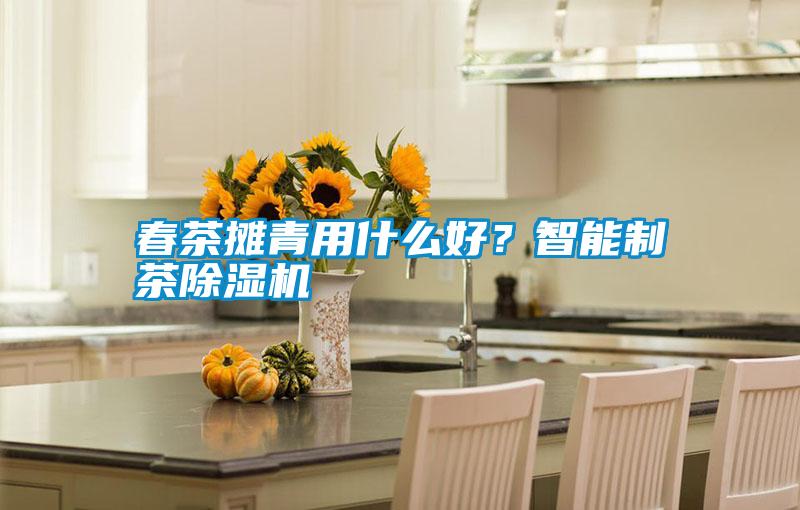 春茶攤青用什么好？智能制茶除濕機