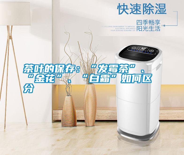 茶葉的保存：“發霉茶”、“金花”、“白霜”如何區分