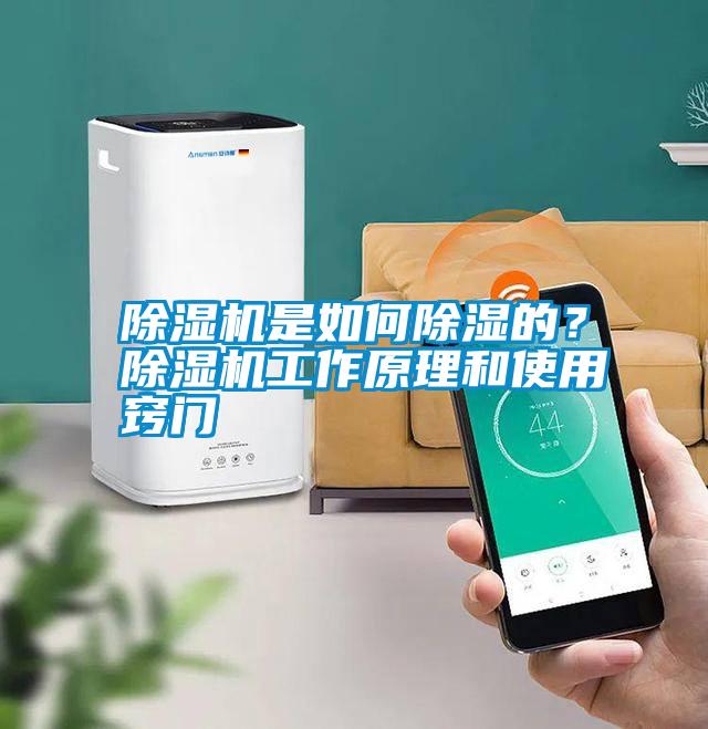 除濕機是如何除濕的？除濕機工作原理和使用竅門