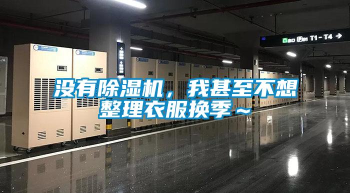 沒有除濕機，我甚至不想整理衣服換季～