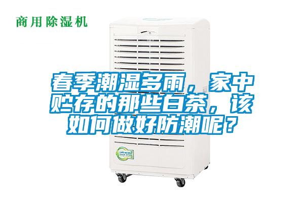 春季潮濕多雨，家中貯存的那些白茶，該如何做好防潮呢？