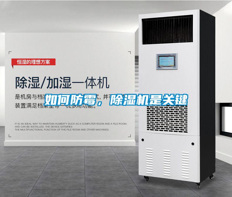 如何防霉，除濕機是關鍵