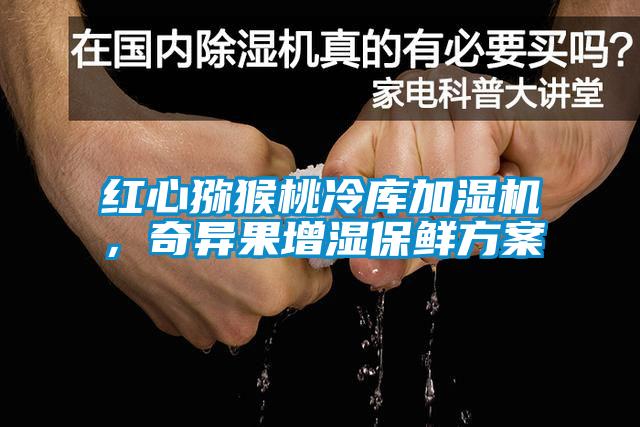 紅心獼猴桃冷庫加濕機，奇異果增濕保鮮方案
