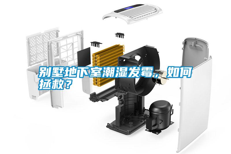 別墅地下室潮濕發霉，如何拯救？