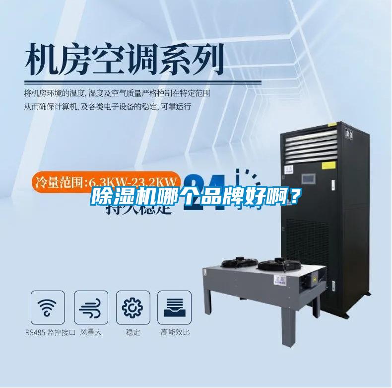 除濕機哪個品牌好啊？