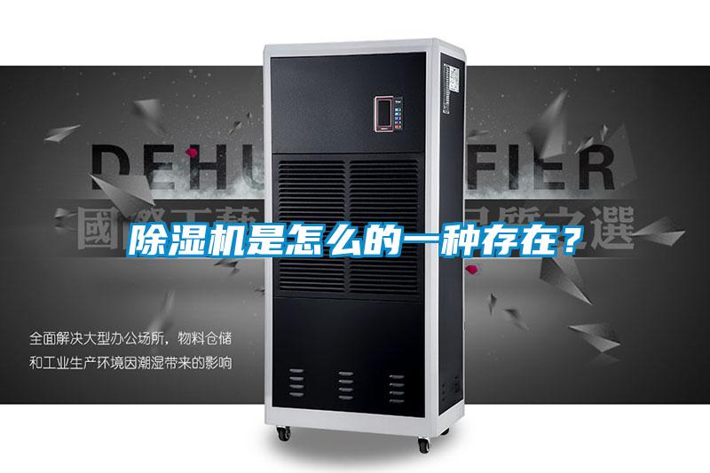 除濕機是怎么的一種存在？