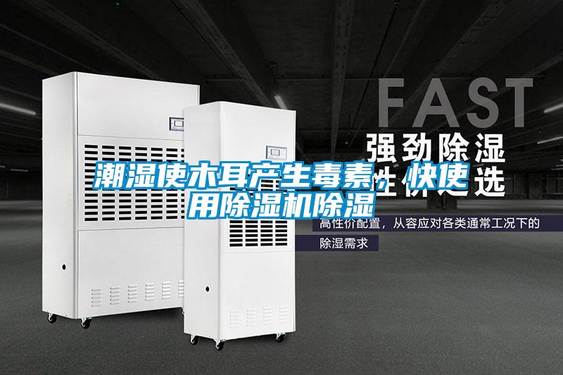 潮濕使木耳產生毒素，快使用除濕機除濕