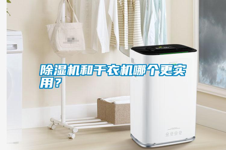 除濕機和干衣機哪個更實用？